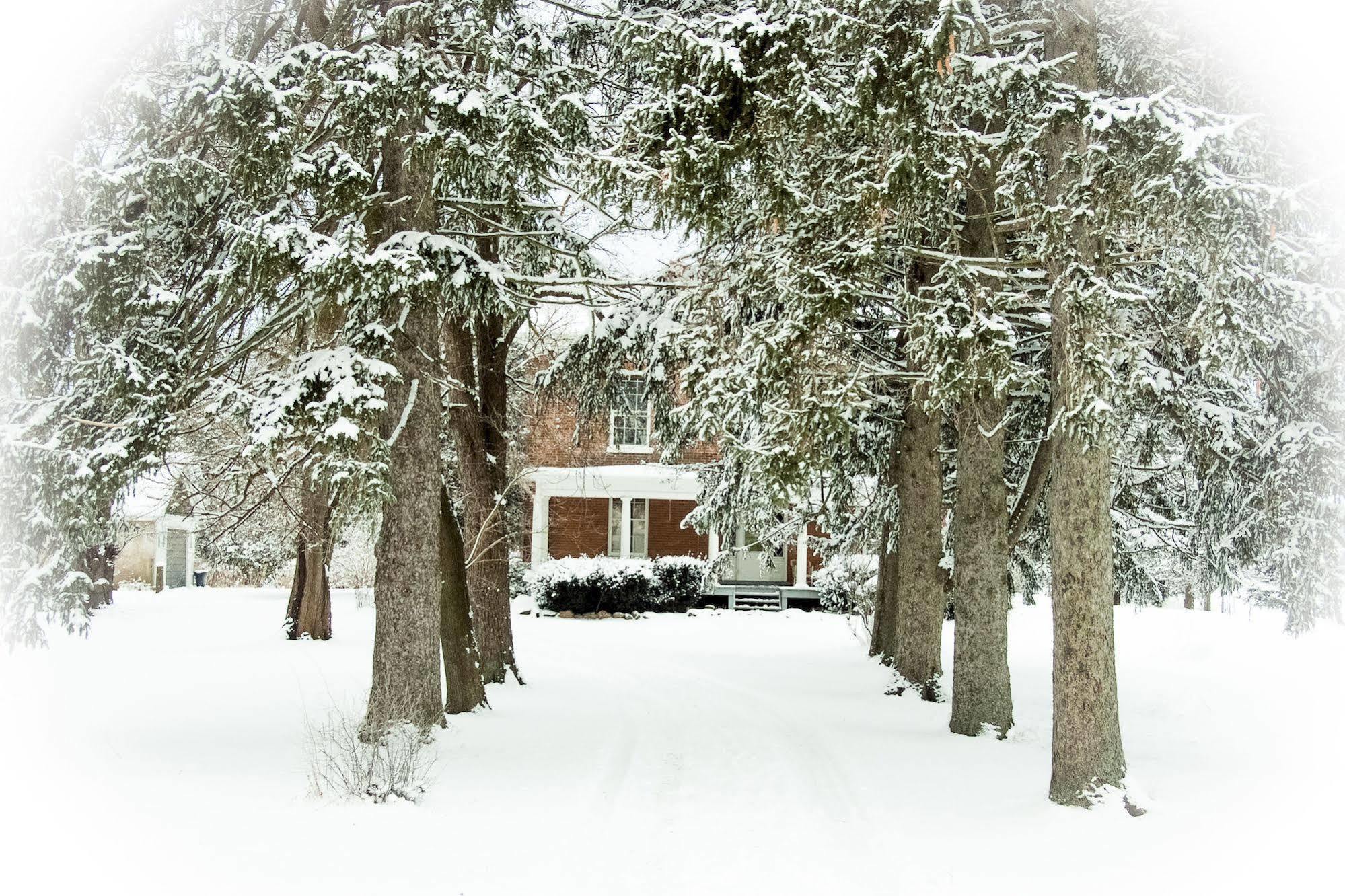 Culverdene House Simcoe Exterior foto